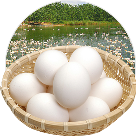 1496978015138790.png egg.png