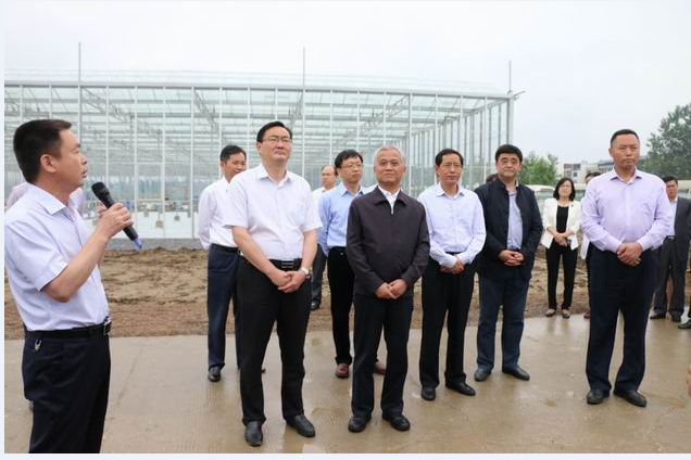 1497404225977455.jpg 98fbe01cffba5e5654f47b3a41a8bc54.jpg